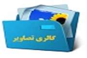 گالری تصاویر1