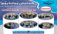 همایش پیاده روی  به مناسبت هفته دیابت 