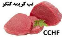 برگزاری کمپین در خصوص علائم بیماری تب خونریزی دهنده کنگو در بیمارستان خاتم الانبیا(ص)