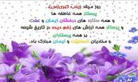 ولادت حضرت زینیب (س) و روز پرستار مبارک